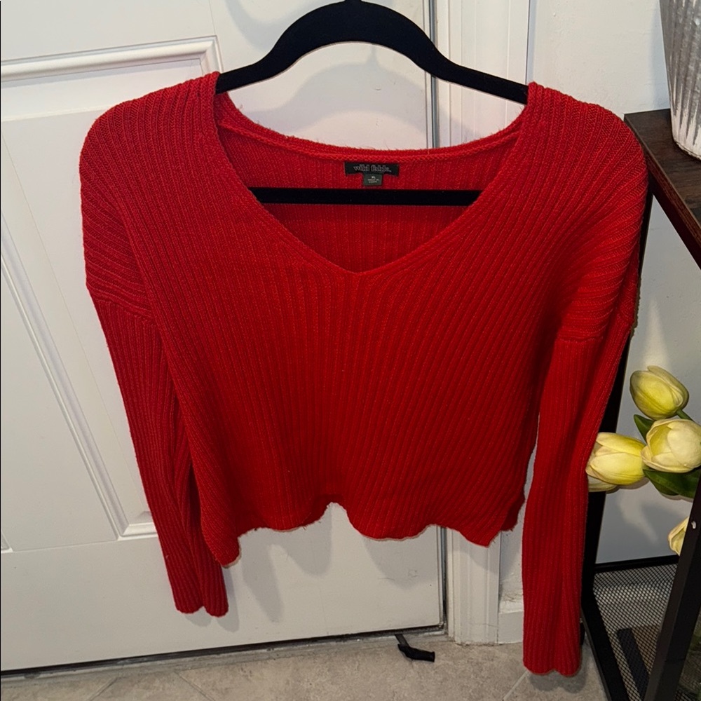 Wild Fable Red V-Neck Ribbed Sweater